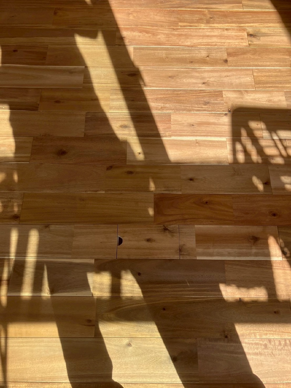 『フロアコンセント』